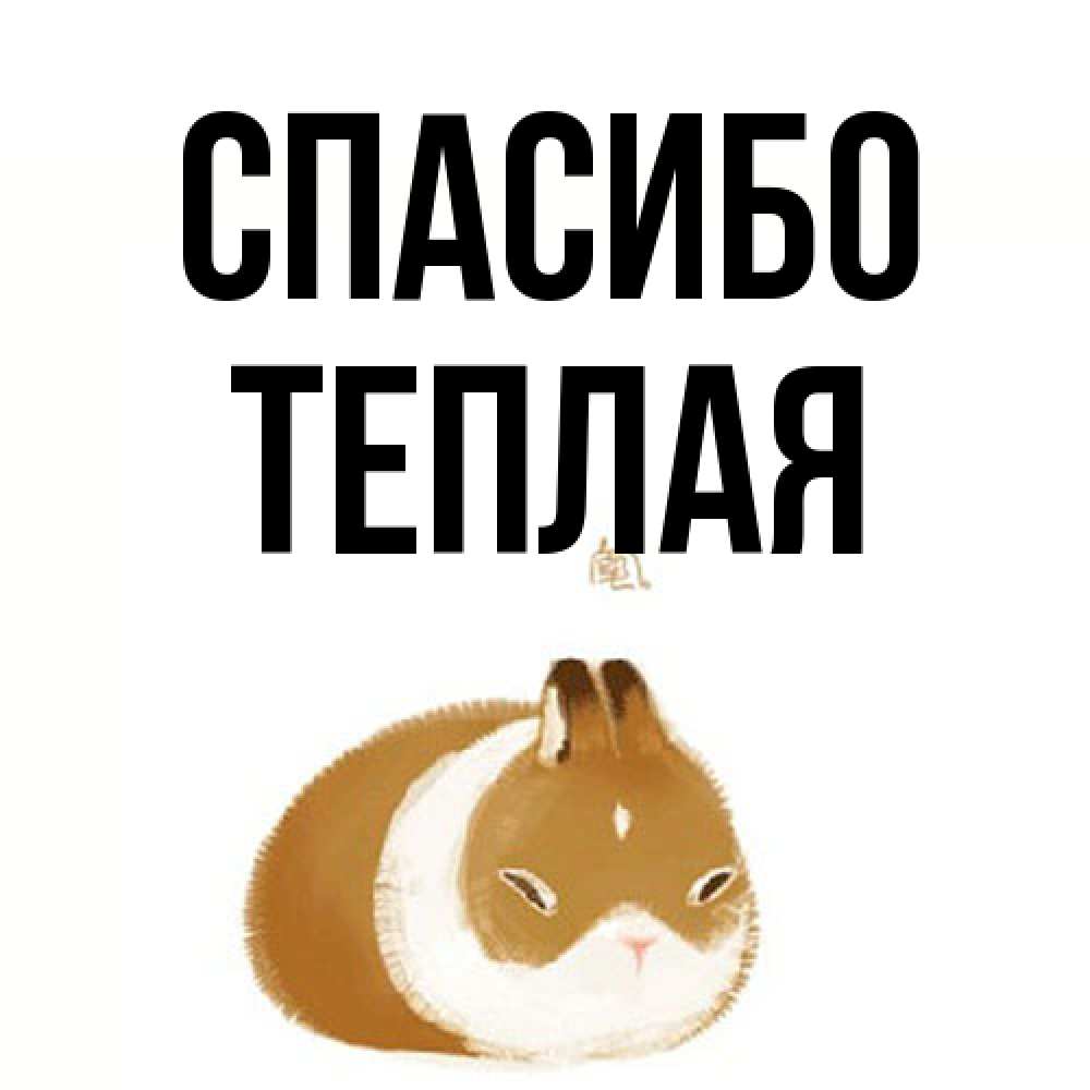 Открытка на каждый день с именем, теплая Спасибо коричнево белый домашний питомец Прикольная открытка с пожеланием онлайн скачать бесплатно 