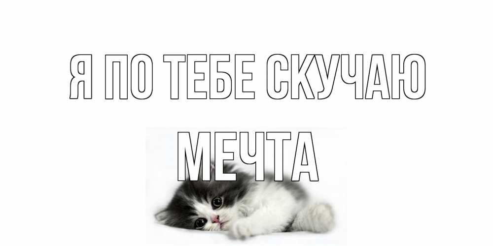Открытка на каждый день с именем, мечта Я по тебе скучаю кот, скука Прикольная открытка с пожеланием онлайн скачать бесплатно 
