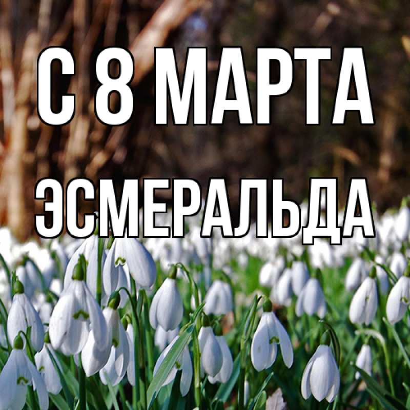Картинка C 8 МАРТА, Эсмеральда