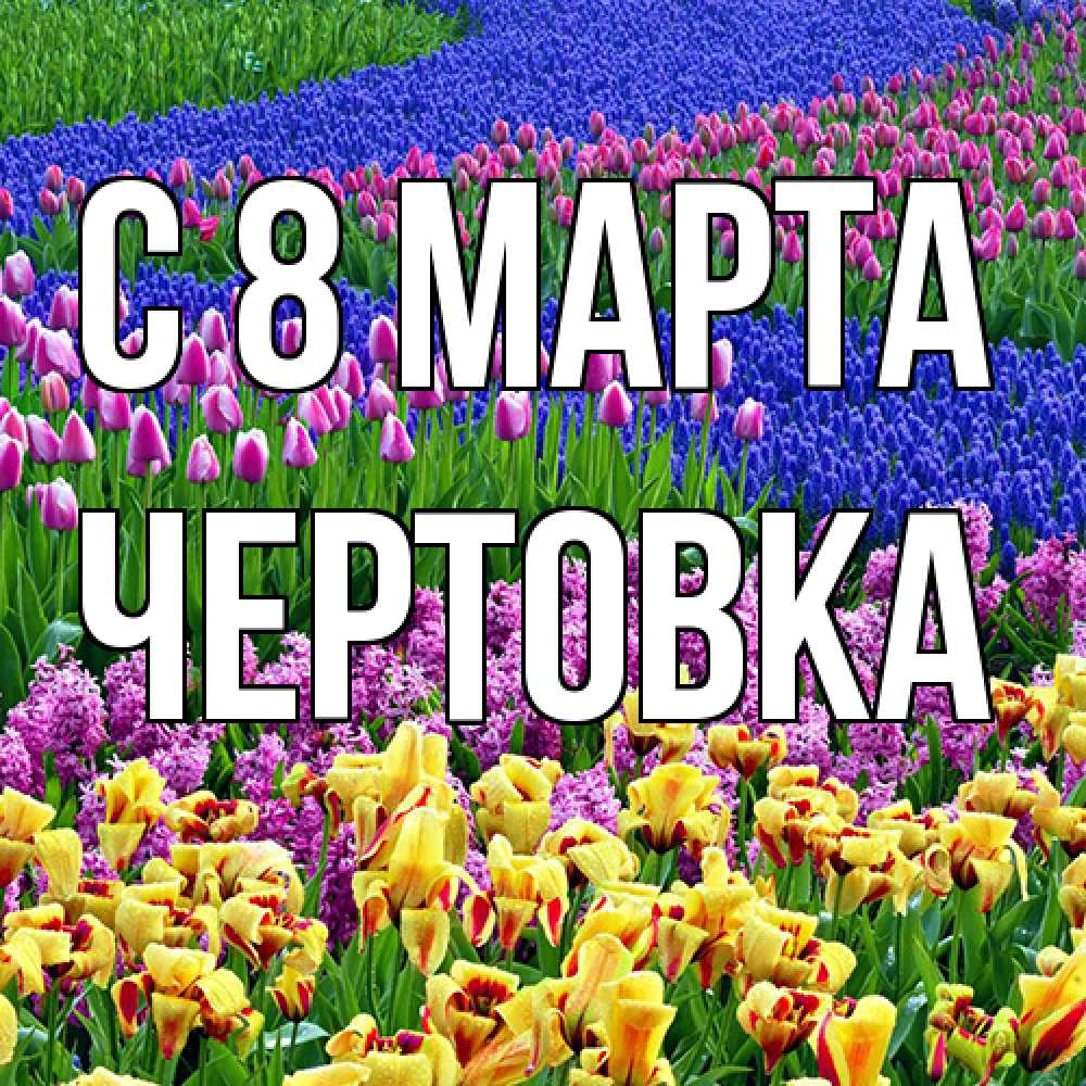 Открытка на каждый день с именем, Чертовка C 8 МАРТА цветы Прикольная открытка с пожеланием онлайн скачать бесплатно 