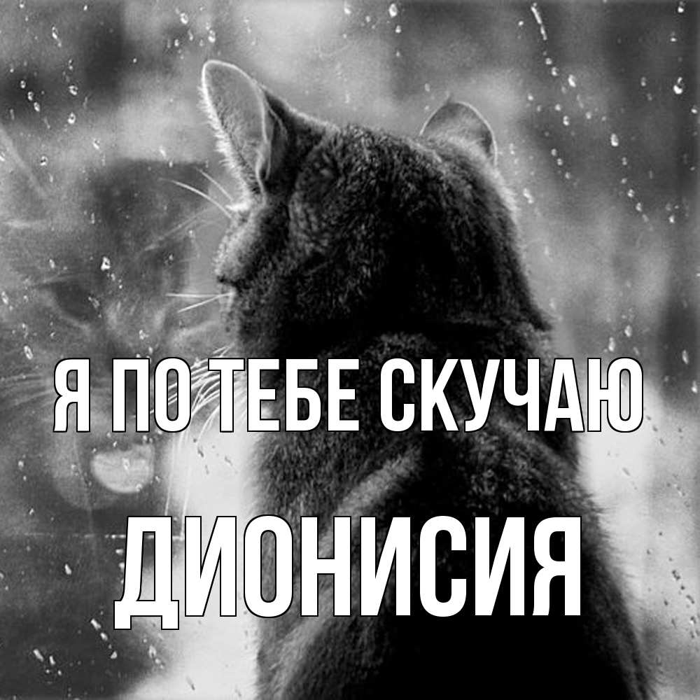 Открытка на каждый день с именем, Дионисия Я по тебе скучаю скорее ко мне приходи 1 Прикольная открытка с пожеланием онлайн скачать бесплатно 