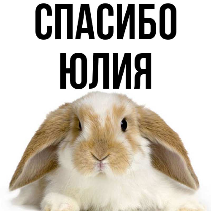 Картинка Спасибо, Юлия