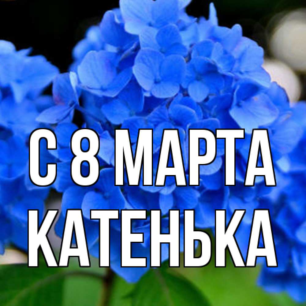 Открытка на каждый день с именем, Катенька C 8 МАРТА синие цветы Прикольная открытка с пожеланием онлайн скачать бесплатно 