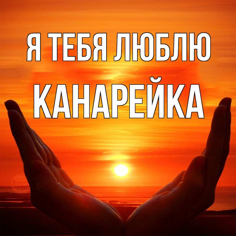 Картинка Я тебя люблю, Канарейка