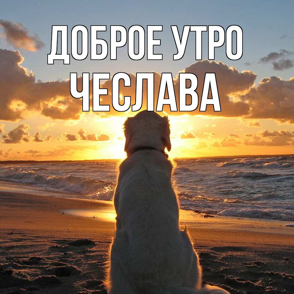 Открытка на каждый день с именем, Чеслава Доброе утро восход солнца Прикольная открытка с пожеланием онлайн скачать бесплатно 