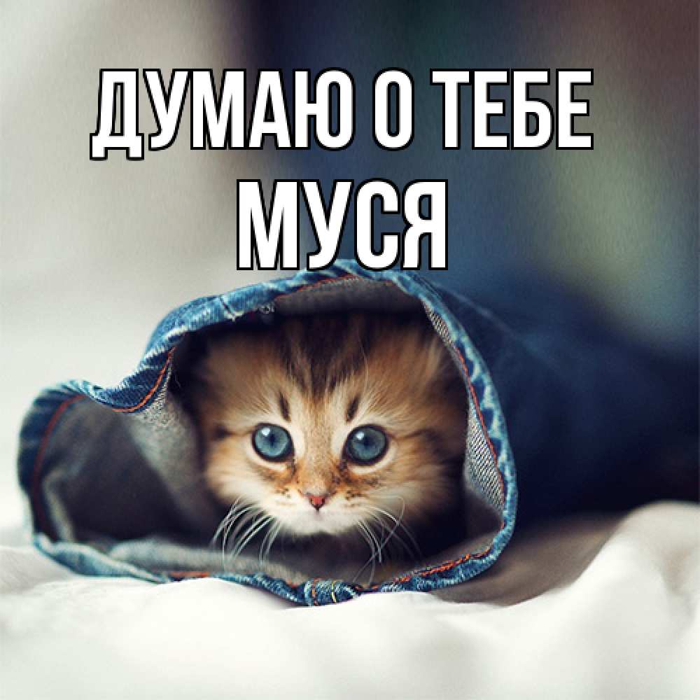 Открытка на каждый день с именем, Муся Думаю о тебе мне без тебя плохо Прикольная открытка с пожеланием онлайн скачать бесплатно 