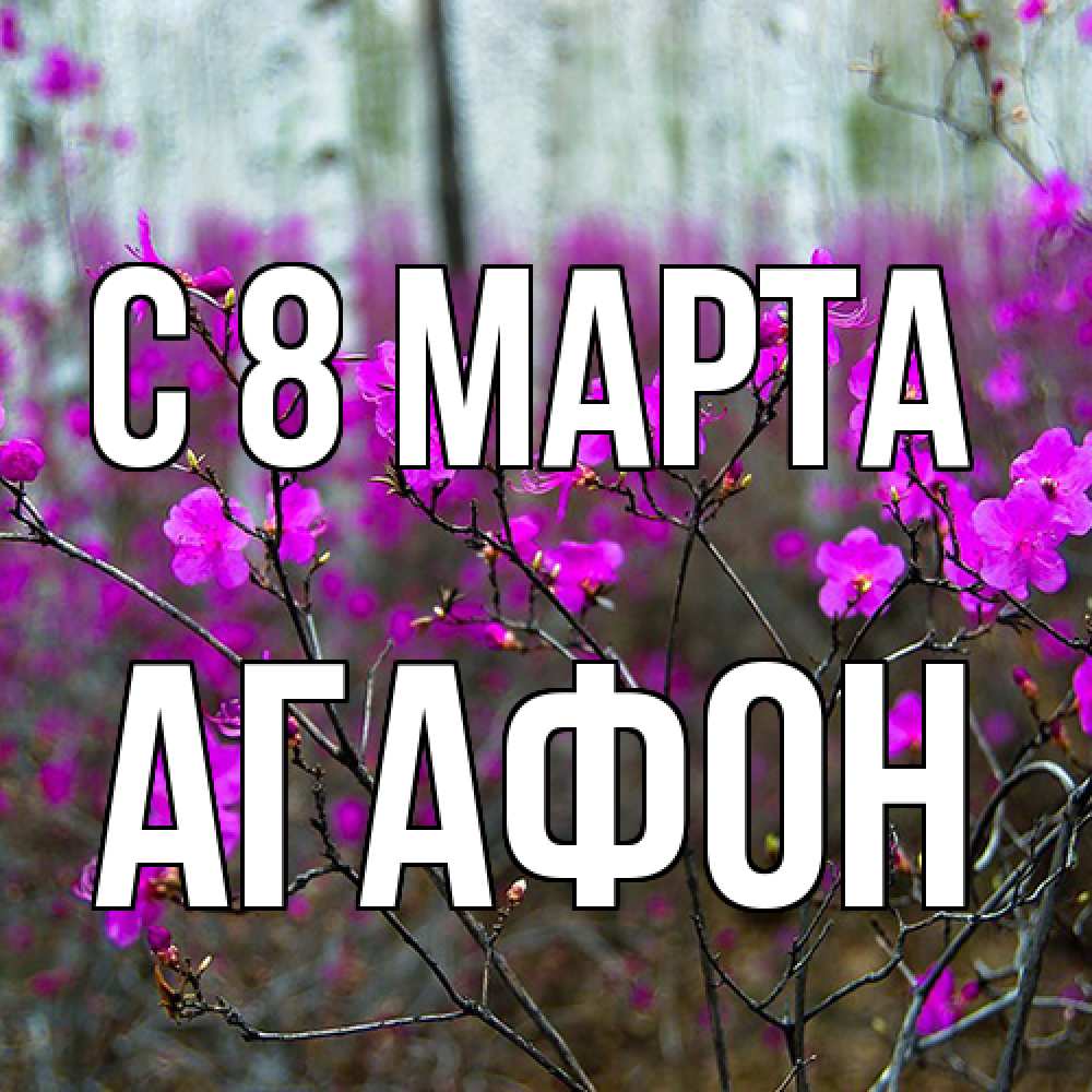 Открытка на каждый день с именем, Агафон C 8 МАРТА дикие цветы Прикольная открытка с пожеланием онлайн скачать бесплатно 