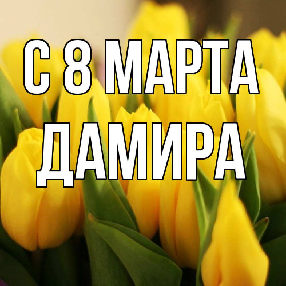 Открытка на каждый день с именем, Дамира C 8 МАРТА цветы Прикольная открытка с пожеланием онлайн скачать бесплатно 