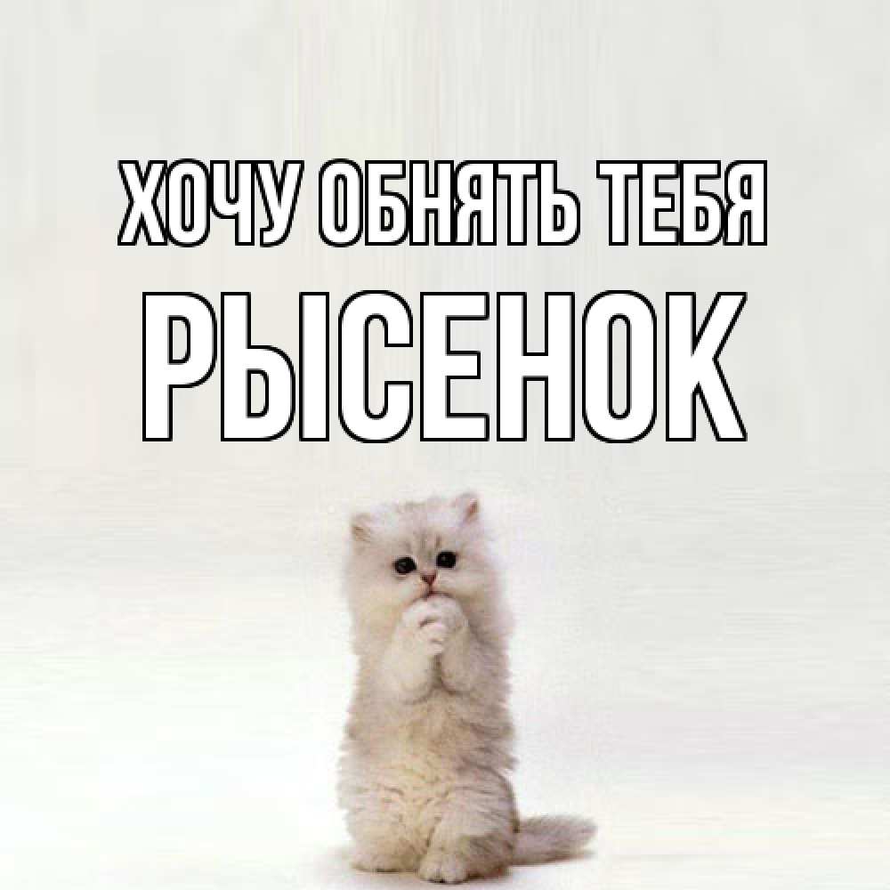 Открытка на каждый день с именем, рысенок Хочу обнять тебя открытки с креативными подписями Прикольная открытка с пожеланием онлайн скачать бесплатно 