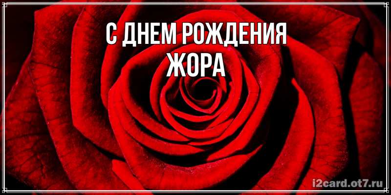 Картинка С днем рождения, Жора