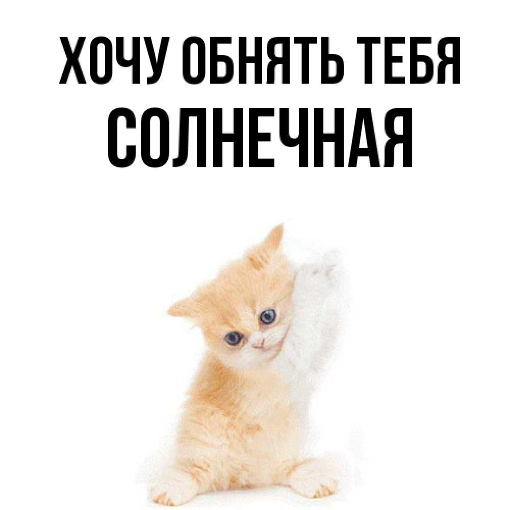 Открытка на каждый день с именем, солнечная Хочу обнять тебя я хочу очень скорее обнимаешек Прикольная открытка с пожеланием онлайн скачать бесплатно 