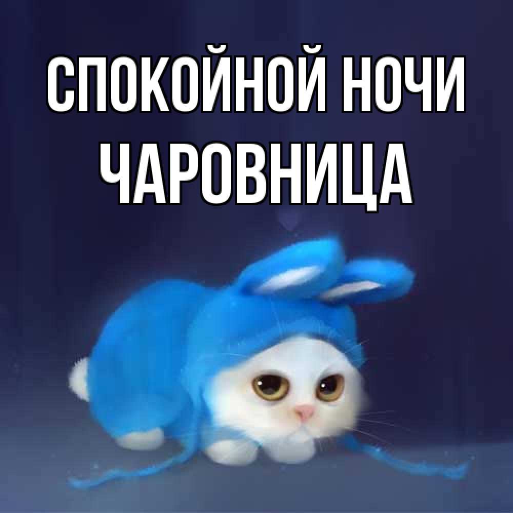 Открытка на каждый день с именем, чаровница Спокойной ночи кот в голубом костюме кролика с ушками Прикольная открытка с пожеланием онлайн скачать бесплатно 