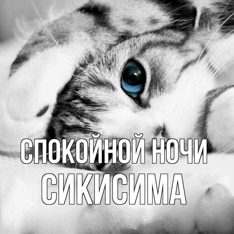 Картинка Спокойной ночи, Сикисима