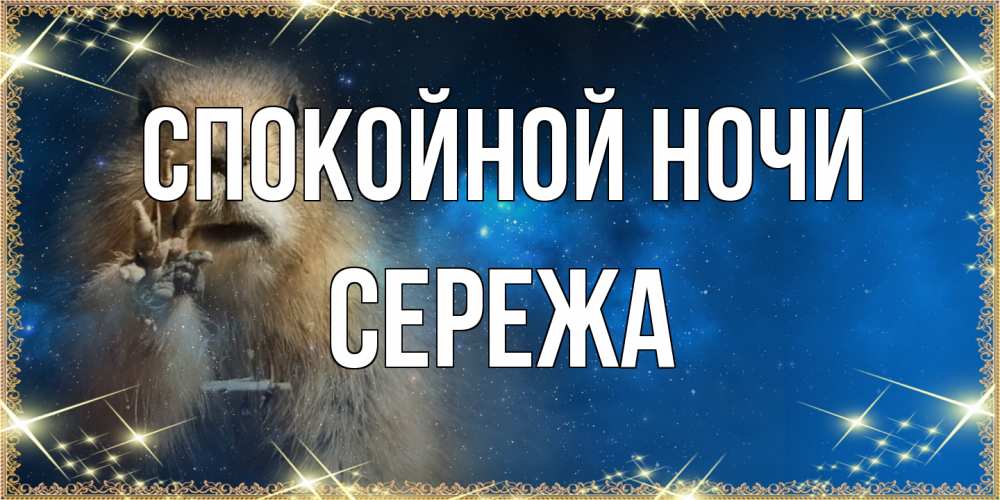 Открытка на каждый день с именем, Сережа Спокойной ночи спокойной ночи сладких снов Прикольная открытка с пожеланием онлайн скачать бесплатно 