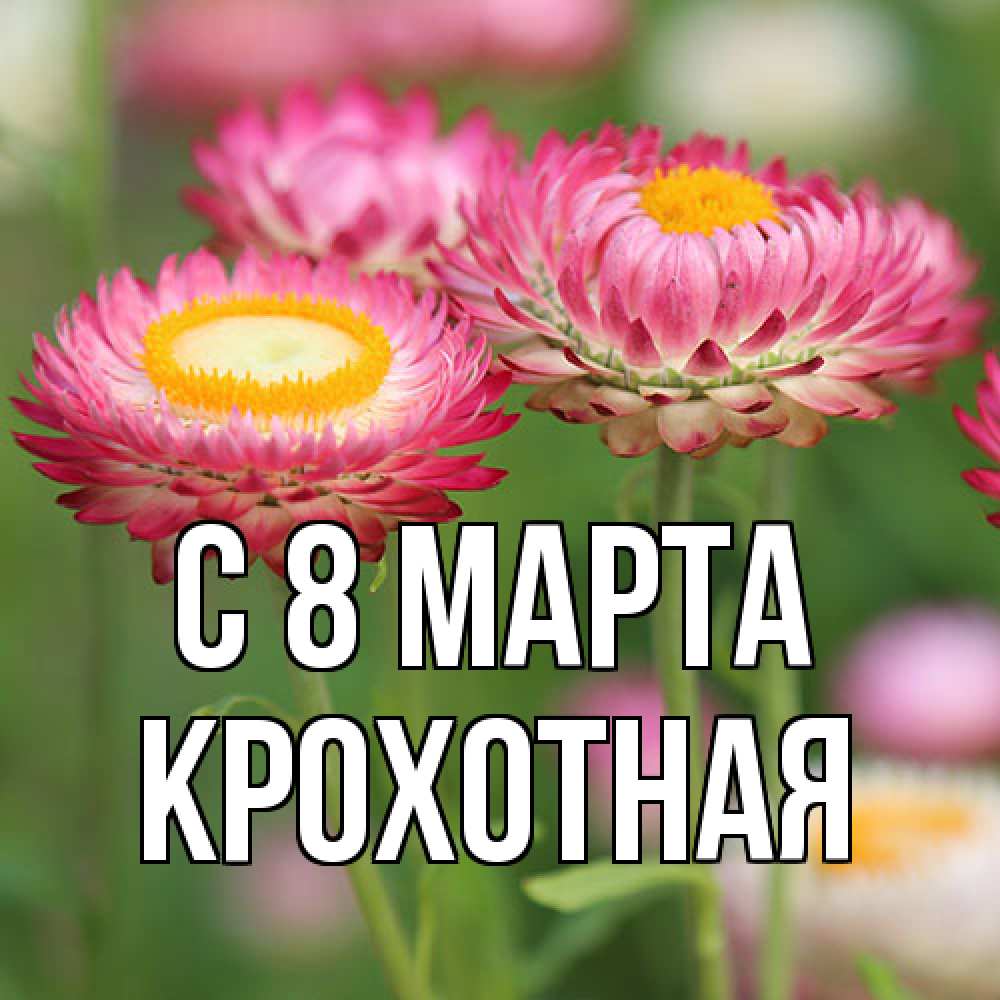 Открытка на каждый день с именем, Крохотная C 8 МАРТА подарок на международный женский день Прикольная открытка с пожеланием онлайн скачать бесплатно 