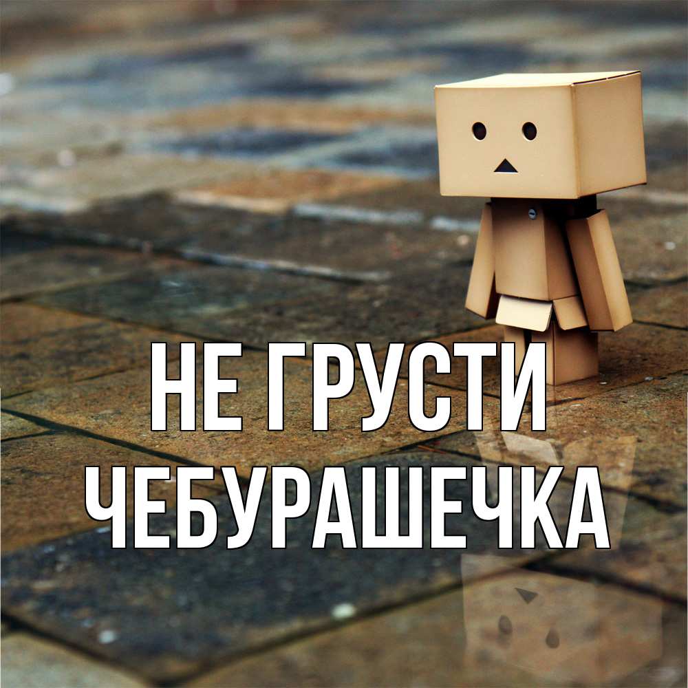 Открытка на каждый день с именем, Чебурашечка Не грусти Стив Прикольная открытка с пожеланием онлайн скачать бесплатно 