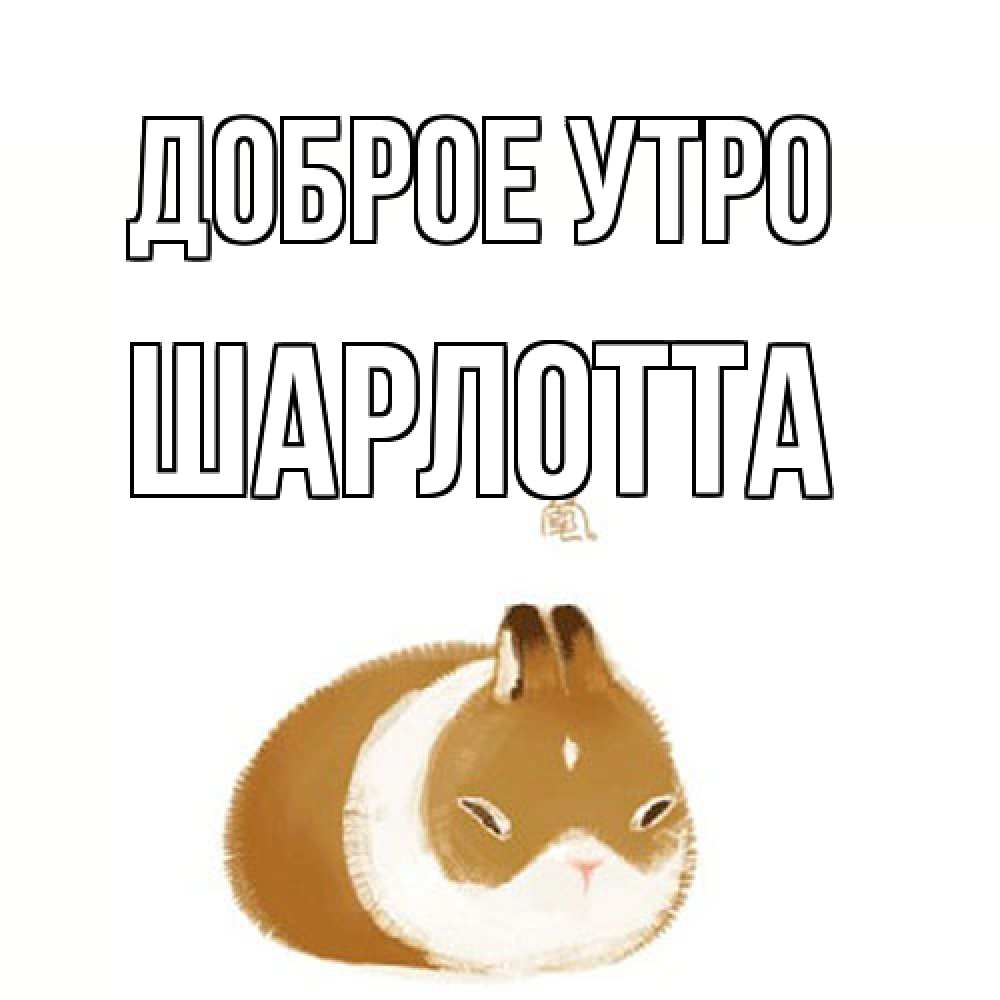 Открытка на каждый день с именем, Шарлотта Доброе утро хорошего утречка Прикольная открытка с пожеланием онлайн скачать бесплатно 