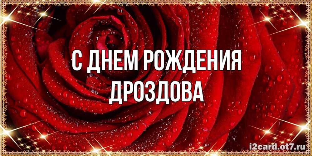 Открытка на каждый день с именем, Дроздова С днем рождения роса на розе блестящая в лучах солнца Прикольная открытка с пожеланием онлайн скачать бесплатно 