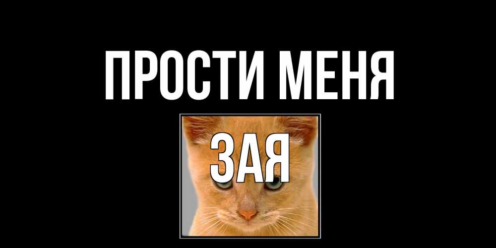 Открытка на каждый день с именем, Зая Прости меня рыжий грустный кот просит прощения Прикольная открытка с пожеланием онлайн скачать бесплатно 