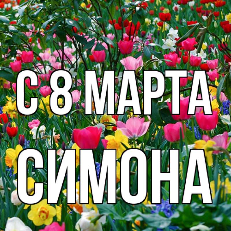 Картинка C 8 МАРТА, Симона
