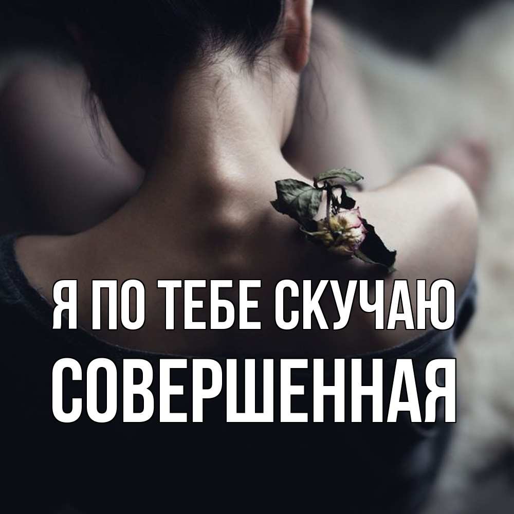 Открытка на каждый день с именем, Совершенная Я по тебе скучаю засох цветок Прикольная открытка с пожеланием онлайн скачать бесплатно 