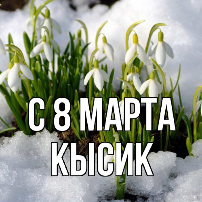 Картинка C 8 МАРТА, Кысик