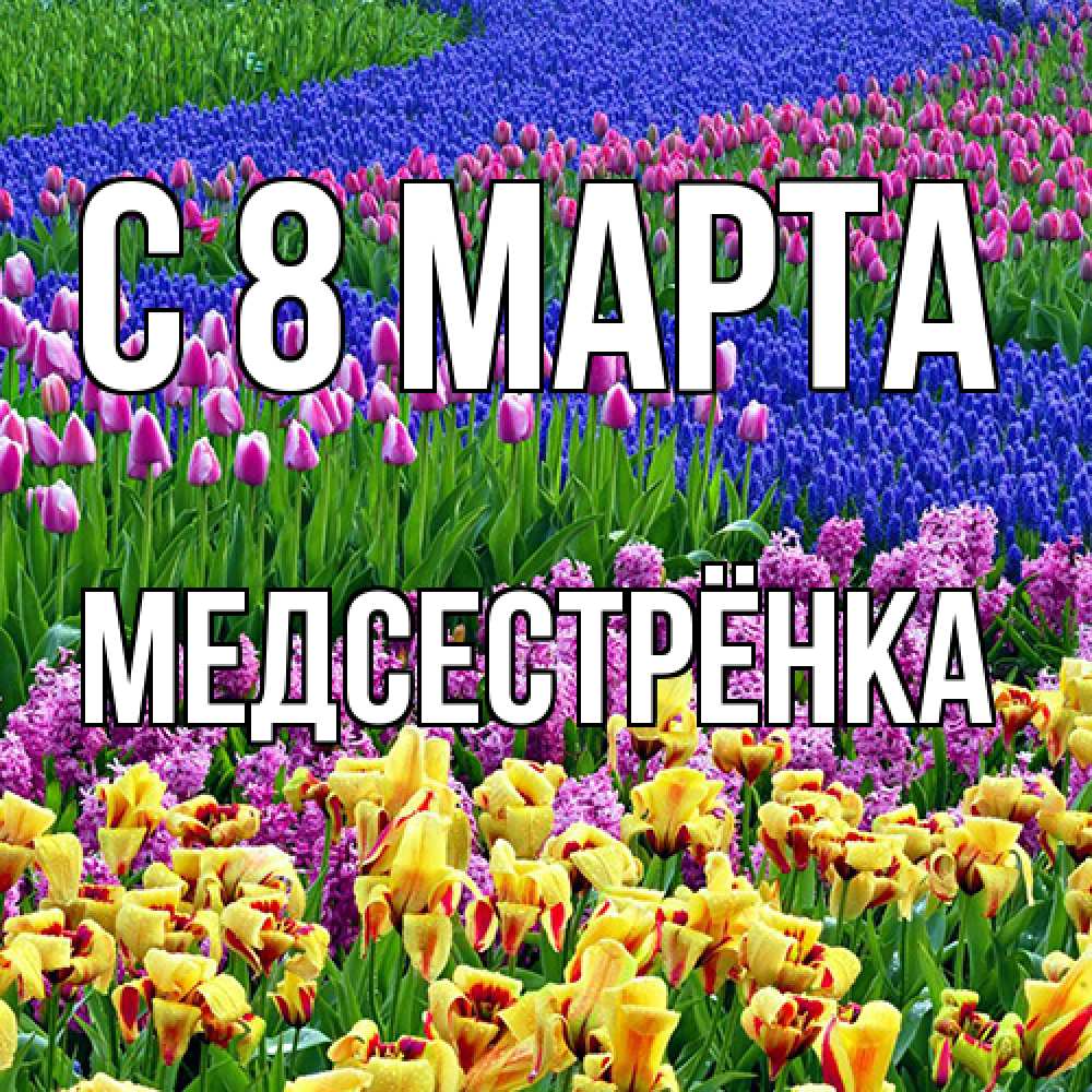 Открытка на каждый день с именем, Медсестрёнка C 8 МАРТА цветы Прикольная открытка с пожеланием онлайн скачать бесплатно 