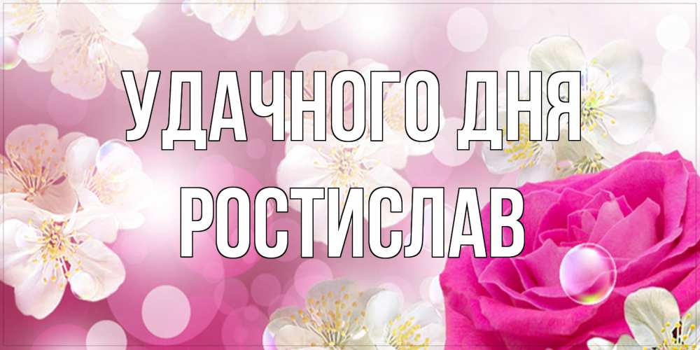 Открытка на каждый день с именем, Ростислав Удачного дня красивые цветы Прикольная открытка с пожеланием онлайн скачать бесплатно 