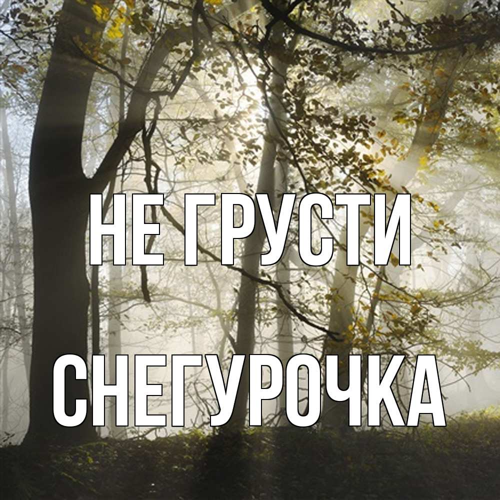 Открытка на каждый день с именем, Снегурочка Не грусти лес и свет Прикольная открытка с пожеланием онлайн скачать бесплатно 