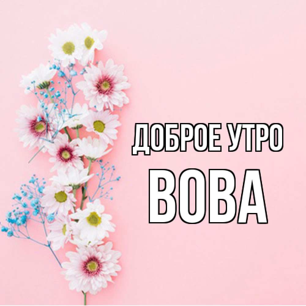 Открытка на каждый день с именем, Вова Доброе утро цветы с подписью Прикольная открытка с пожеланием онлайн скачать бесплатно 