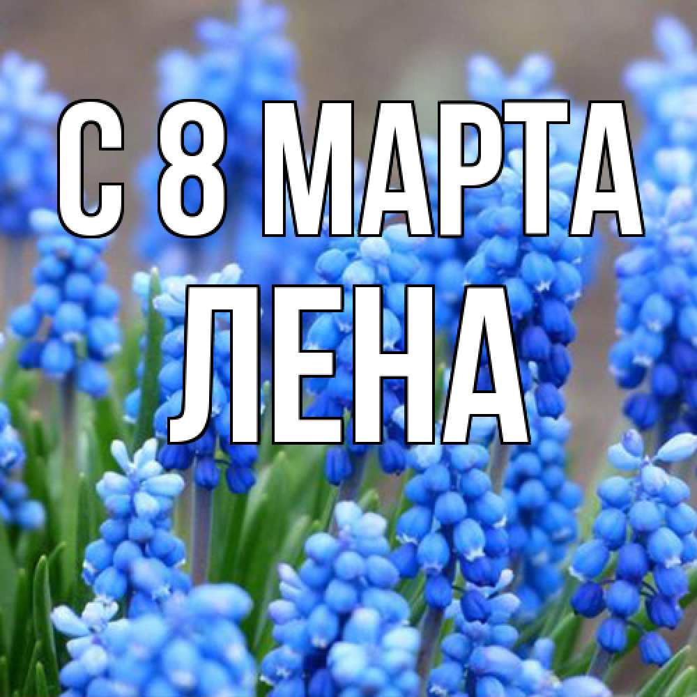 Открытка на каждый день с именем, Лена C 8 МАРТА Поздравительная открытка для женщин с цветами на праздничную дату Прикольная открытка с пожеланием онлайн скачать бесплатно 