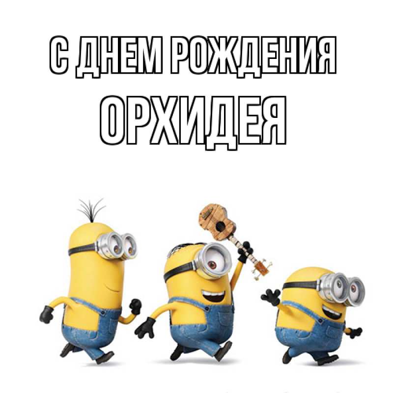 Картинка С днем рождения, Орхидея