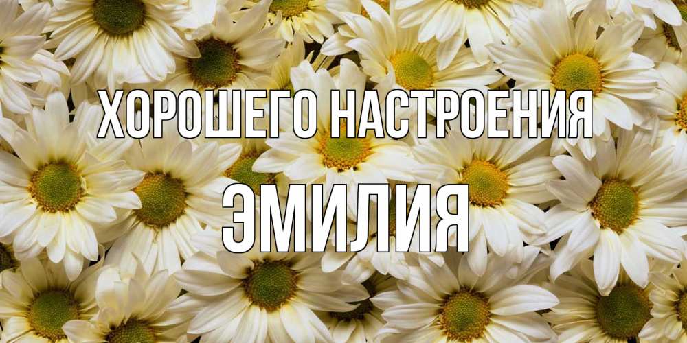 Открытка на каждый день с именем, Эмилия Хорошего настроения крупные ромашки Прикольная открытка с пожеланием онлайн скачать бесплатно 