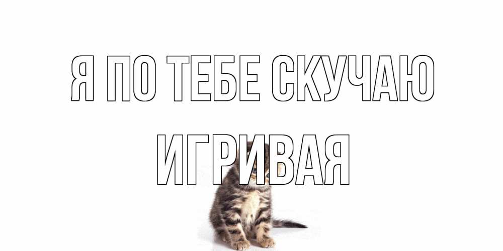 Открытка на каждый день с именем, игривая Я по тебе скучаю кот Прикольная открытка с пожеланием онлайн скачать бесплатно 