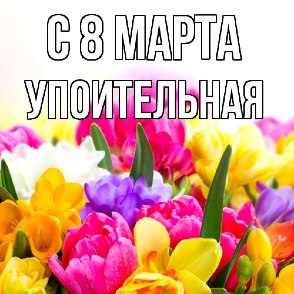 Открытка на каждый день с именем, Упоительная C 8 МАРТА тюльпаны Прикольная открытка с пожеланием онлайн скачать бесплатно 