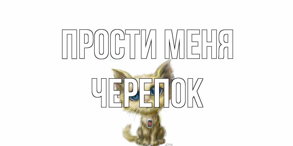Открытка на каждый день с именем, Черепок Прости меня прости меня открытка с котиком Прикольная открытка с пожеланием онлайн скачать бесплатно 