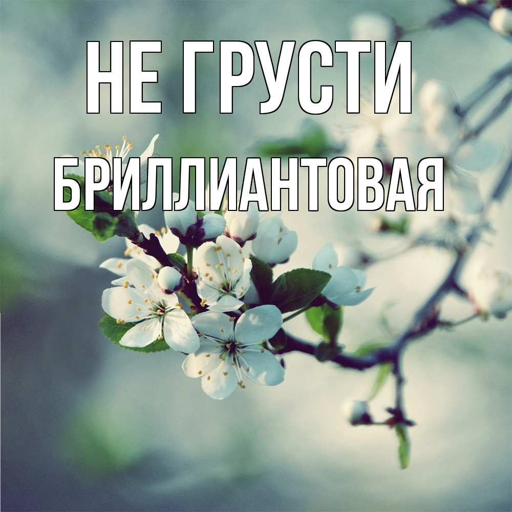 Открытка на каждый день с именем, Бpиллиантовая Не грусти яблоня в цвету 1 Прикольная открытка с пожеланием онлайн скачать бесплатно 
