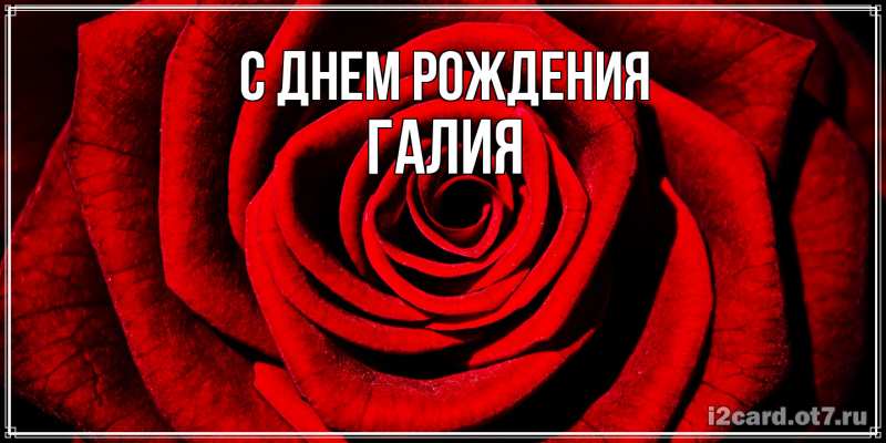 Картинка С днем рождения, Галия