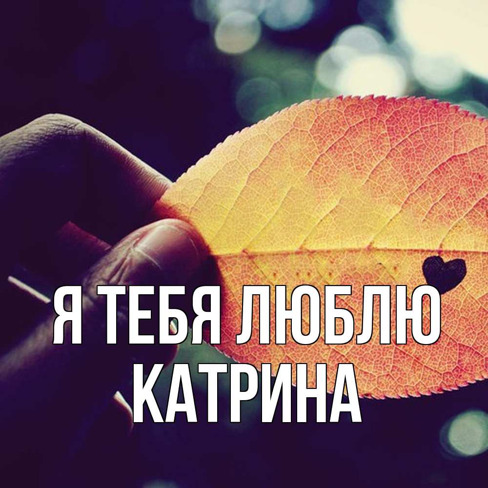 Открытка на каждый день с именем, Катрина Я тебя люблю держу лист Прикольная открытка с пожеланием онлайн скачать бесплатно 