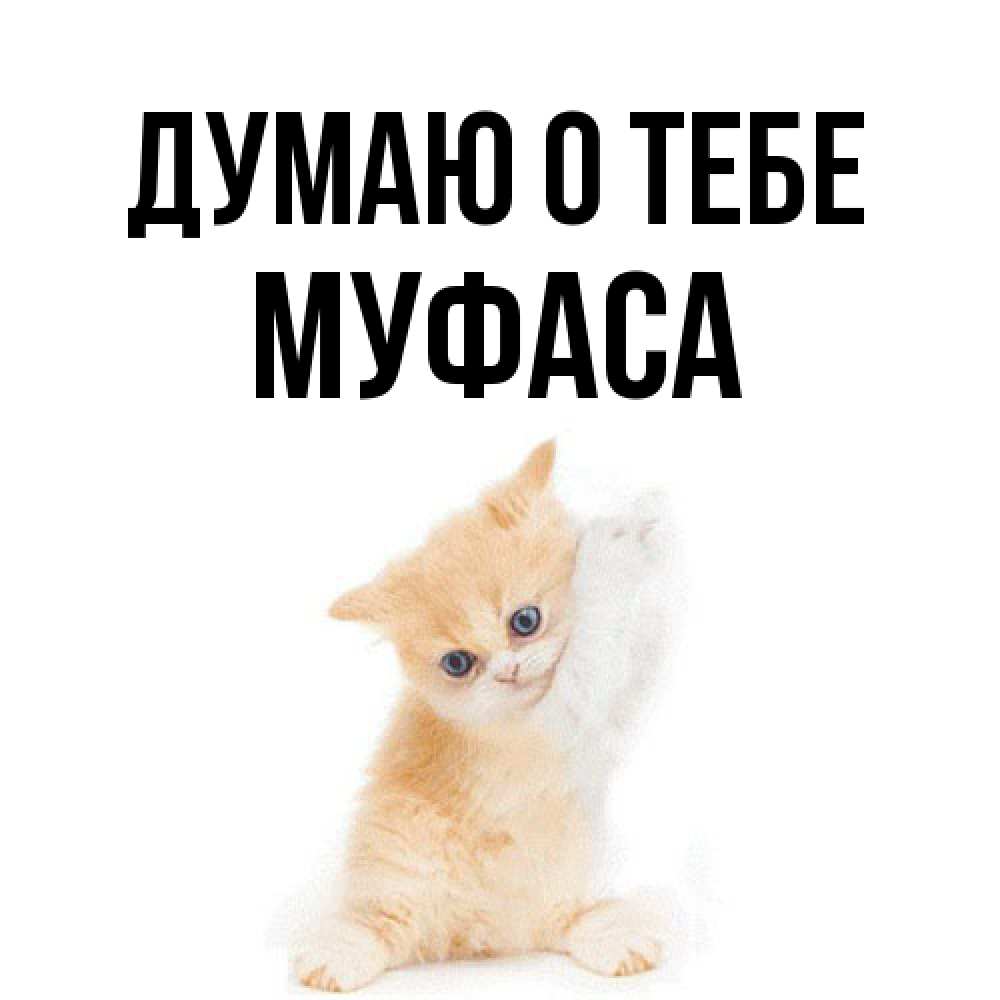 Открытка на каждый день с именем, Муфаса Думаю о тебе зверушки и милота Прикольная открытка с пожеланием онлайн скачать бесплатно 