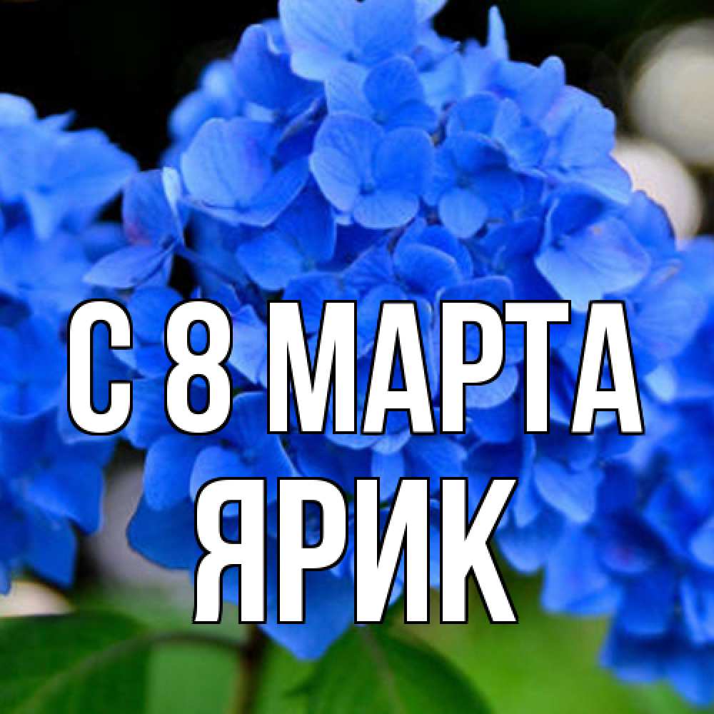 Открытка на каждый день с именем, Ярик C 8 МАРТА синие цветы Прикольная открытка с пожеланием онлайн скачать бесплатно 