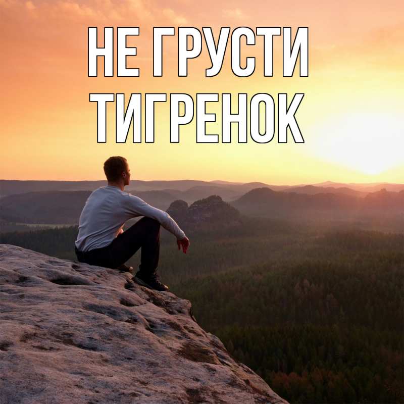 Картинка Не грусти, Тигpенок