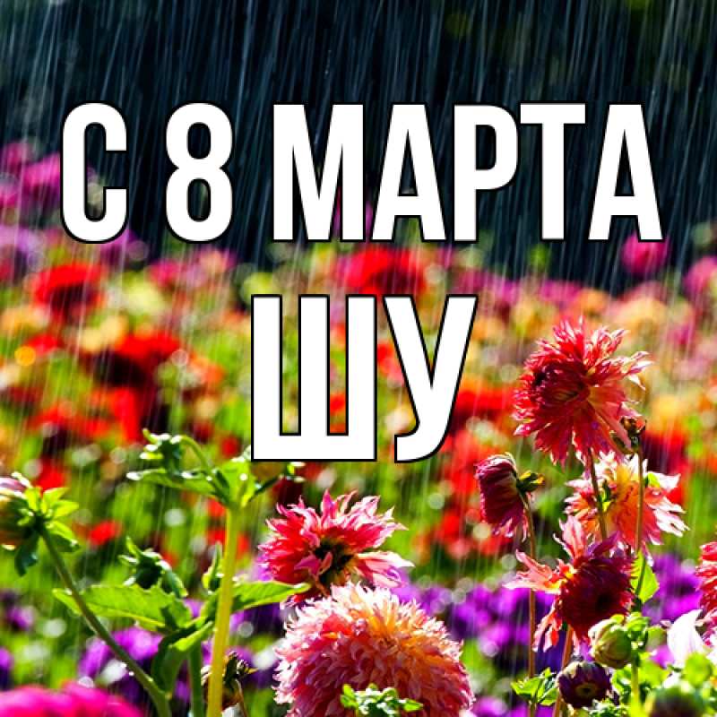 Картинка C 8 МАРТА, Шу