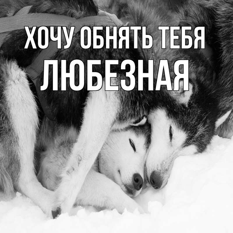 Картинка Хочу обнять тебя, любезная