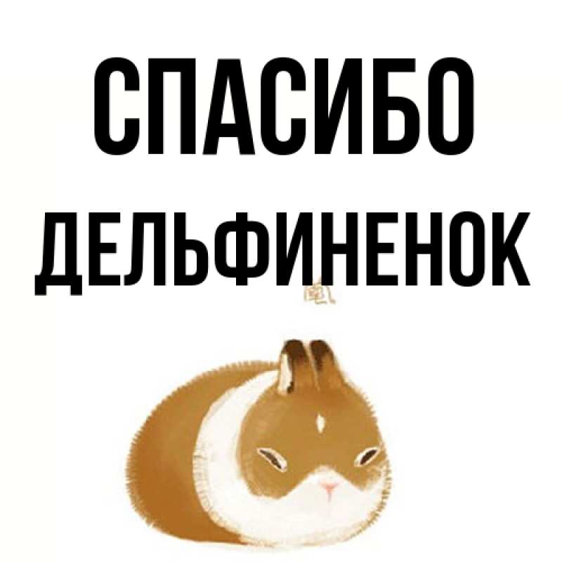 Открытка с именем, дельфиненок, Спасибо
