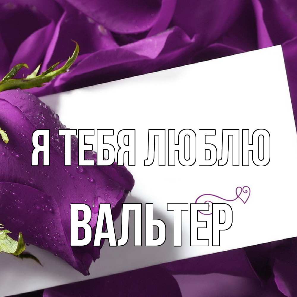 Открытка на каждый день с именем, Вальтер Я тебя люблю роза Прикольная открытка с пожеланием онлайн скачать бесплатно 