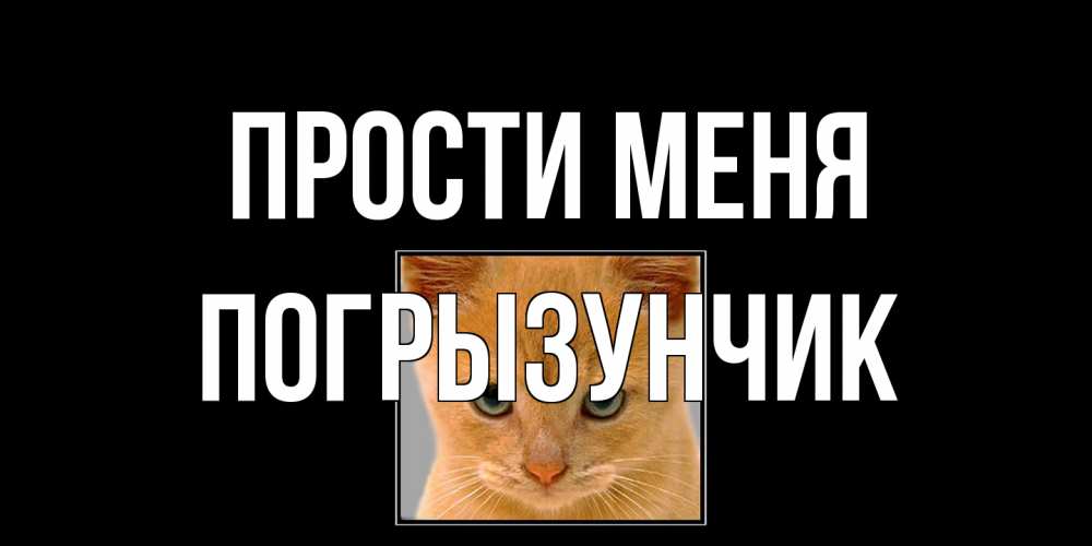 Открытка на каждый день с именем, Погрызунчик Прости меня рыжий грустный кот просит прощения Прикольная открытка с пожеланием онлайн скачать бесплатно 