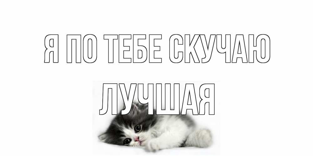 Открытка на каждый день с именем, Лучшая Я по тебе скучаю кот, скука Прикольная открытка с пожеланием онлайн скачать бесплатно 