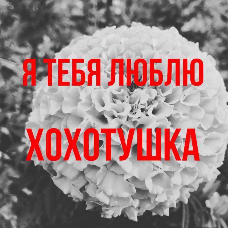 Картинка Я тебя люблю, Хохотушка