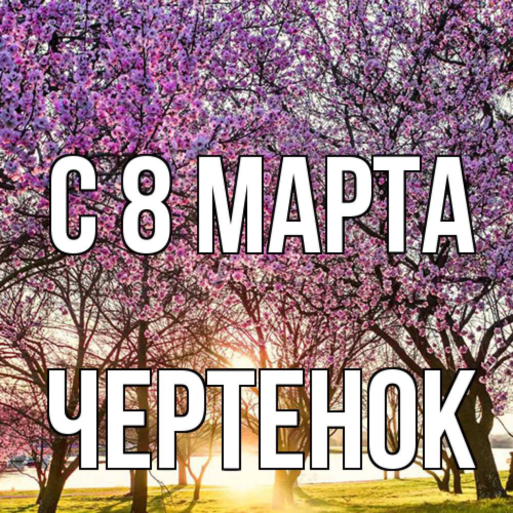 Открытка на каждый день с именем, чеpтенок C 8 МАРТА международный женский день Прикольная открытка с пожеланием онлайн скачать бесплатно 